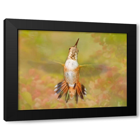 The Flower Dance IV Black Modern Wood Framed Art Print by Robertson, Leda