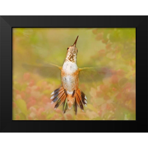 The Flower Dance IV Black Modern Wood Framed Art Print by Robertson, Leda