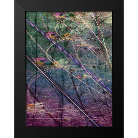 Wetlands Vector I Black Modern Wood Framed Art Print by Burghardt, James