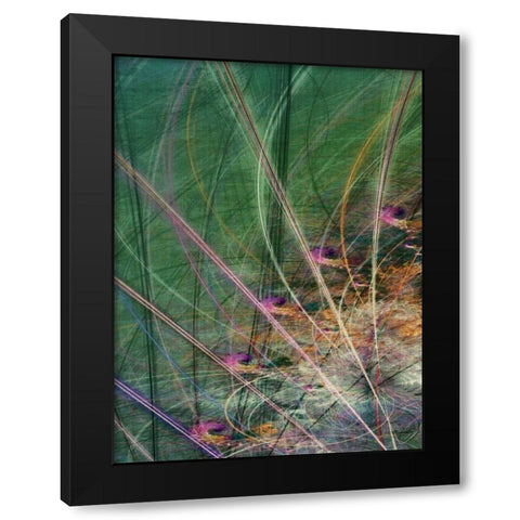 Wetland Vector II Black Modern Wood Framed Art Print with Double Matting by Burghardt, James