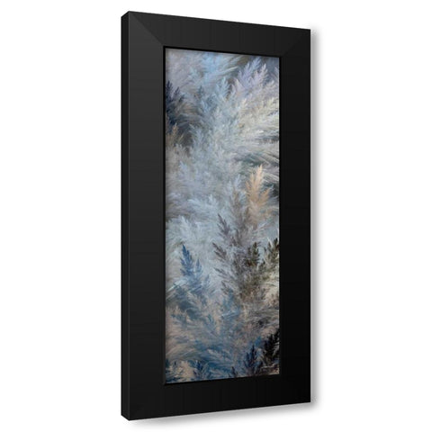 2-Up Pampas Panels II Black Modern Wood Framed Art Print with Double Matting by Burghardt, James