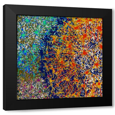 Profusion I Black Modern Wood Framed Art Print with Double Matting by Burghardt, James