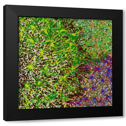 Profusion II Black Modern Wood Framed Art Print by Burghardt, James