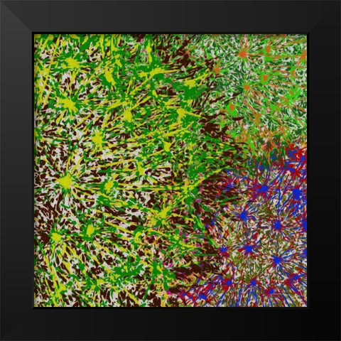 Profusion II Black Modern Wood Framed Art Print by Burghardt, James
