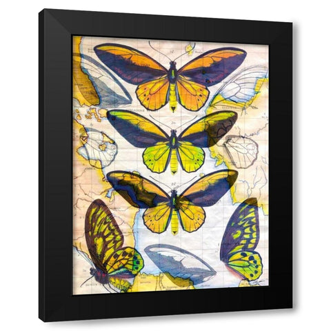 Butterfly Map I Black Modern Wood Framed Art Print with Double Matting by Butler, John