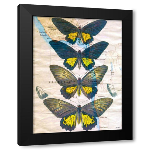 Butterfly Map II Black Modern Wood Framed Art Print with Double Matting by Butler, John