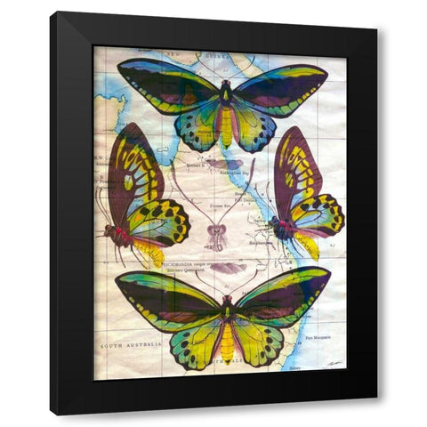 Butterfly Map III Black Modern Wood Framed Art Print with Double Matting by Butler, John