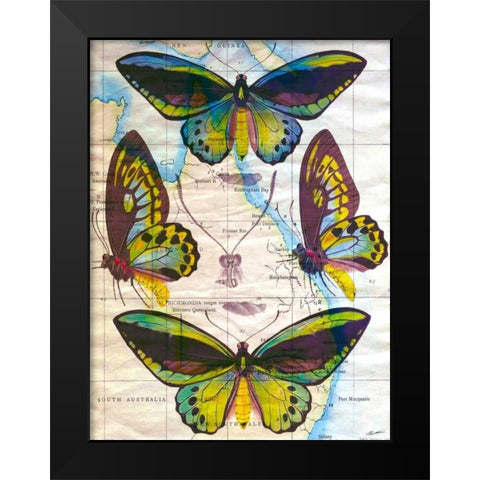 Butterfly Map III Black Modern Wood Framed Art Print by Butler, John