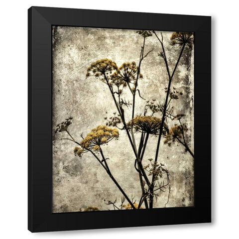 Big Sur Yarrow II Black Modern Wood Framed Art Print with Double Matting by Malek, Honey