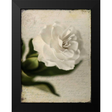 Gardenia Grunge II Black Modern Wood Framed Art Print by Malek, Honey