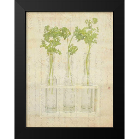 Herb Still Life I Black Modern Wood Framed Art Print by Orlov, Irena