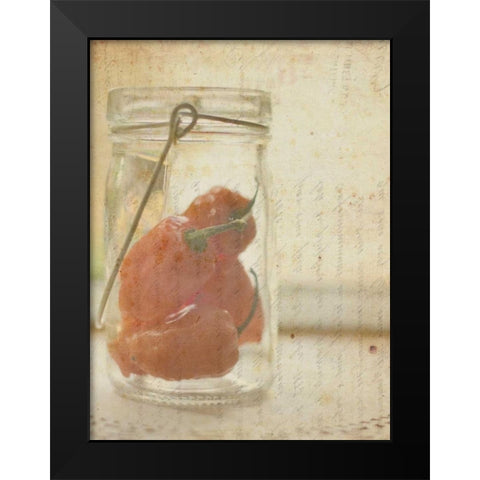 Herb Still Life V Black Modern Wood Framed Art Print by Orlov, Irena