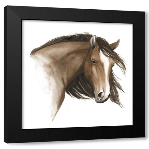 Wild Horse I Black Modern Wood Framed Art Print with Double Matting by Popp, Grace