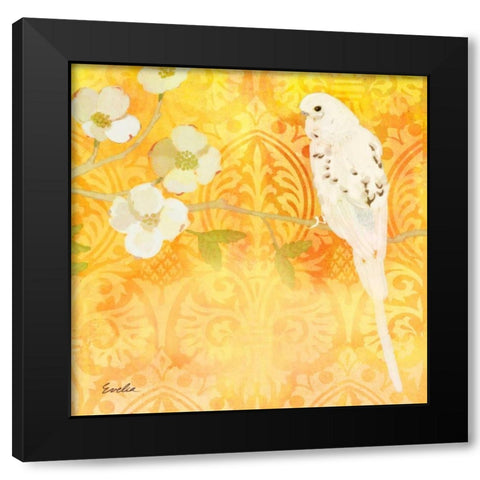 Budgie and Cartouche I Black Modern Wood Framed Art Print with Double Matting by Evelia Designs