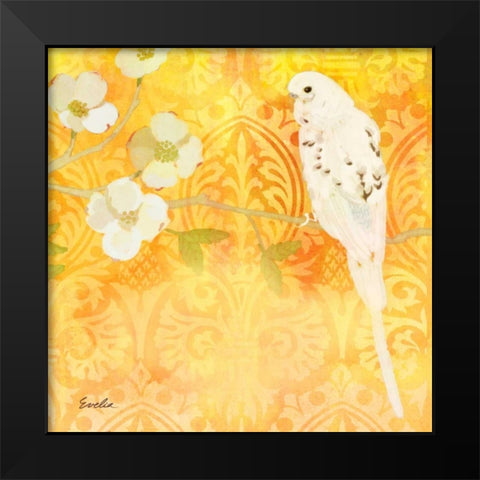 Budgie and Cartouche I Black Modern Wood Framed Art Print by Evelia Designs