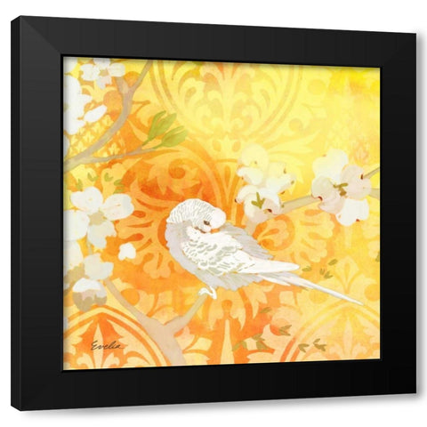 Budgie and Cartouche II Black Modern Wood Framed Art Print by Evelia Designs