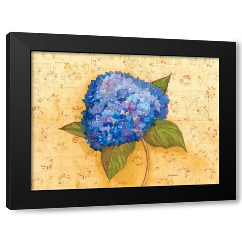 Hydrangea Love II Black Modern Wood Framed Art Print with Double Matting by Russell, Wendy
