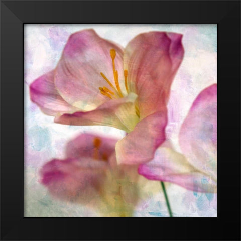 Pink Hyacinth I Black Modern Wood Framed Art Print by Malek, Honey