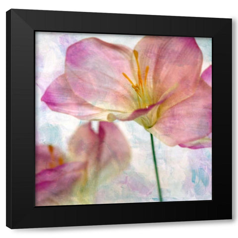 Pink Hyacinth II Black Modern Wood Framed Art Print by Malek, Honey