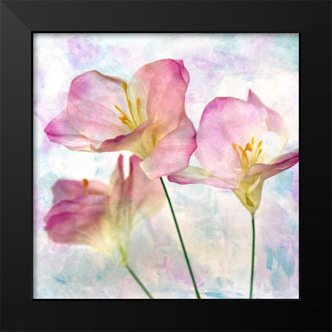 Pink Hyacinth III Black Modern Wood Framed Art Print by Malek, Honey