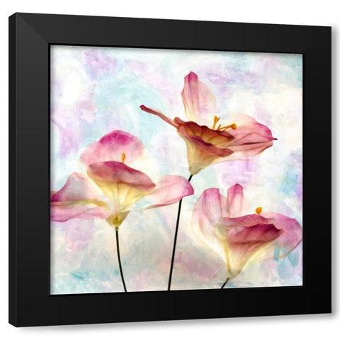 Pink Hyacinth VI Black Modern Wood Framed Art Print with Double Matting by Malek, Honey