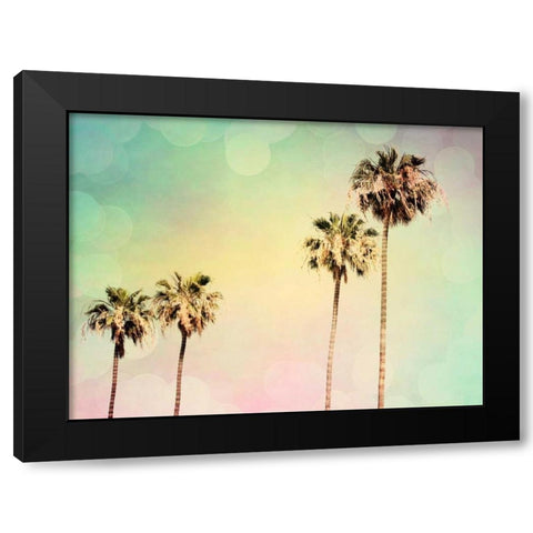 Palm Trees II Black Modern Wood Framed Art Print with Double Matting by Coomes, Sylvia