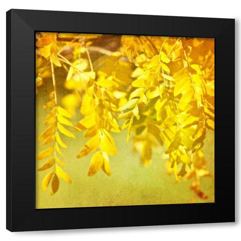 Autumn Photography I Black Modern Wood Framed Art Print with Double Matting by Coomes, Sylvia