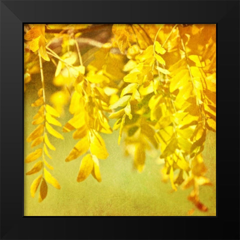 Autumn Photography I Black Modern Wood Framed Art Print by Coomes, Sylvia