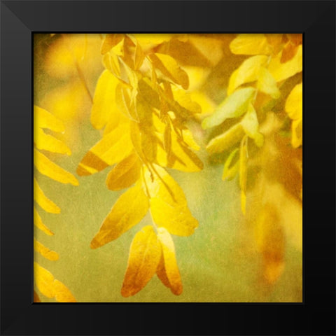 Autumn Photography II Black Modern Wood Framed Art Print by Coomes, Sylvia