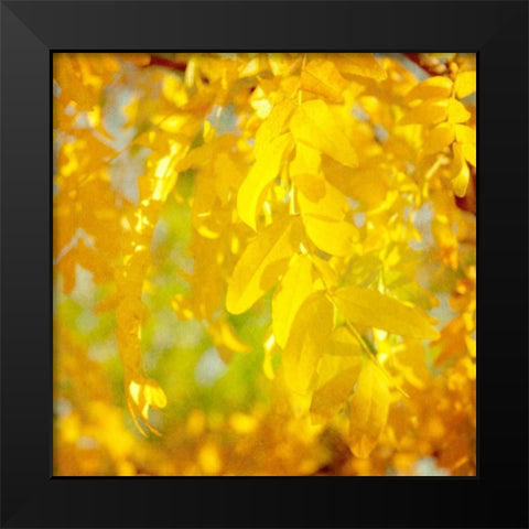 Autumn Photography IV Black Modern Wood Framed Art Print by Coomes, Sylvia