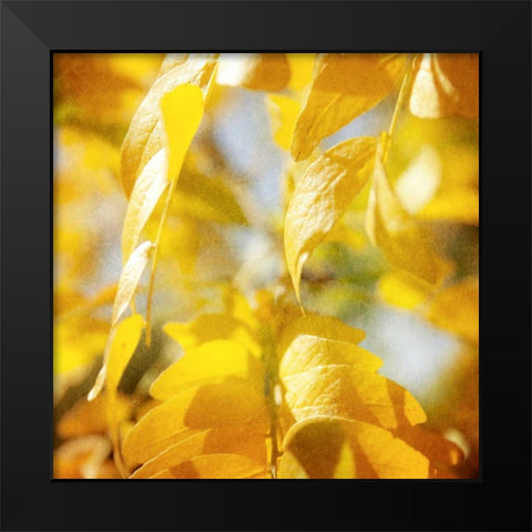 Autumn Photography V Black Modern Wood Framed Art Print by Coomes, Sylvia
