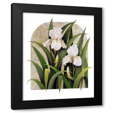 Iris Vignette Black Modern Wood Framed Art Print by Matcham, Marcia