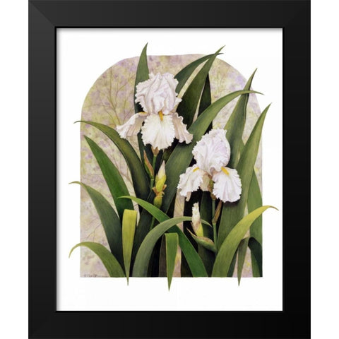 Iris Vignette Black Modern Wood Framed Art Print by Matcham, Marcia