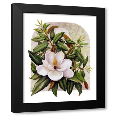 Magnolia Vignette Black Modern Wood Framed Art Print with Double Matting by Matcham, Marcia