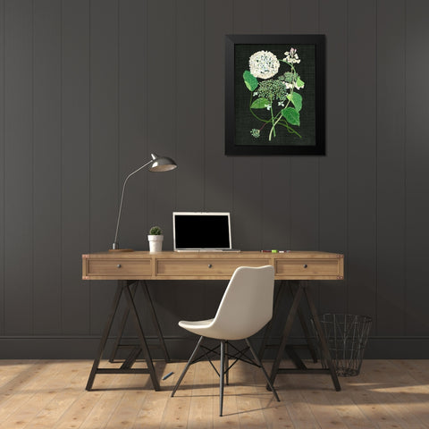 White Hydrangea Study I Black Modern Wood Framed Art Print by Wang, Melissa