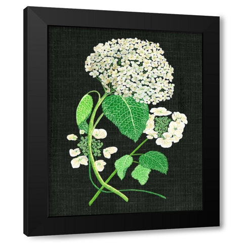 White Hydrangea Study II Black Modern Wood Framed Art Print with Double Matting by Wang, Melissa