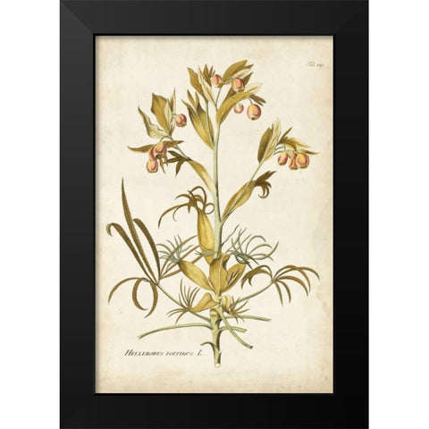 Elegant Botanical II Black Modern Wood Framed Art Print by Plenk, J.J.