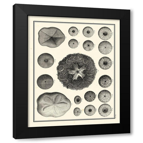 Small Aegean Collection I Black Modern Wood Framed Art Print with Double Matting by Vision Studio