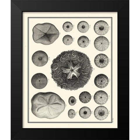 Small Aegean Collection I Black Modern Wood Framed Art Print by Vision Studio