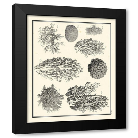 Small Aegean Collection IV Black Modern Wood Framed Art Print with Double Matting by Vision Studio