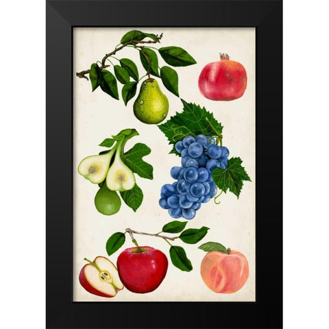 Fruit Collection I Black Modern Wood Framed Art Print by McCavitt, Naomi