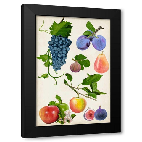Fruit Collection II Black Modern Wood Framed Art Print by McCavitt, Naomi