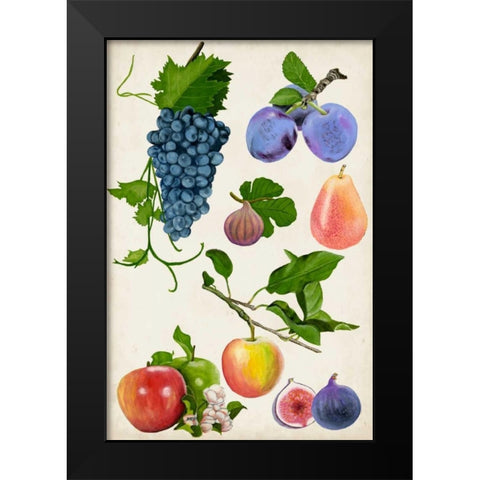 Fruit Collection II Black Modern Wood Framed Art Print by McCavitt, Naomi