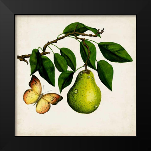 Fruit with Butterflies I Black Modern Wood Framed Art Print by McCavitt, Naomi
