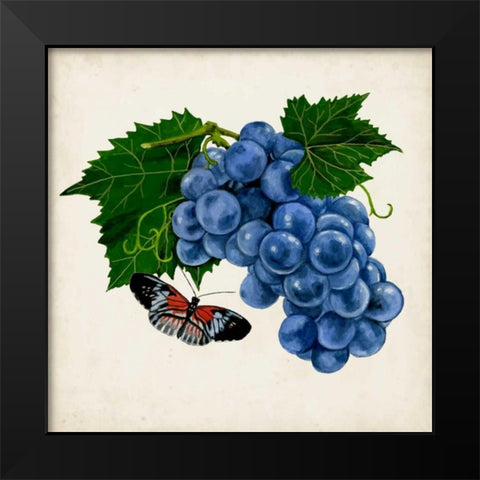 Fruit with Butterflies II Black Modern Wood Framed Art Print by McCavitt, Naomi