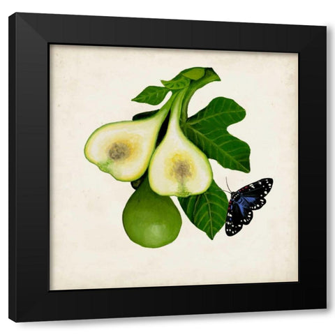 Fruit with Butterflies III Black Modern Wood Framed Art Print by McCavitt, Naomi