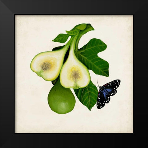 Fruit with Butterflies III Black Modern Wood Framed Art Print by McCavitt, Naomi