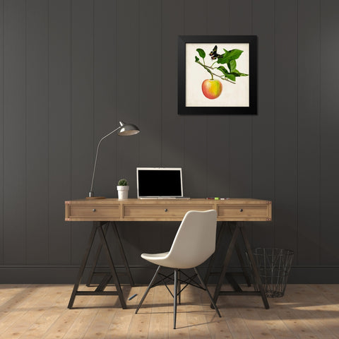 Fruit with Butterflies IV Black Modern Wood Framed Art Print by McCavitt, Naomi
