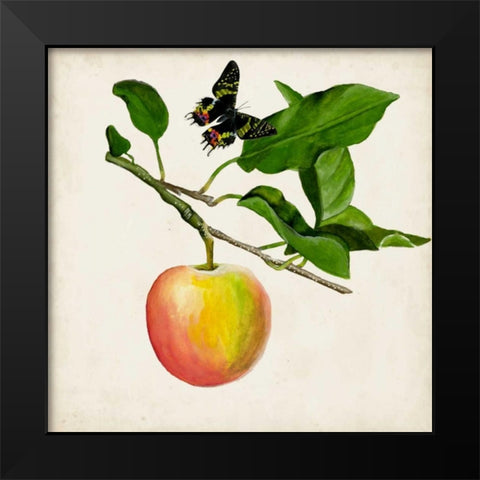 Fruit with Butterflies IV Black Modern Wood Framed Art Print by McCavitt, Naomi