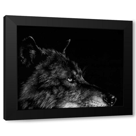 Scratchboard Wolf I Black Modern Wood Framed Art Print by Chapman, Julie T.